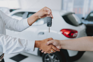 Car Dealers in Tauranga: What to Know Before Buying Your Next Vehicle