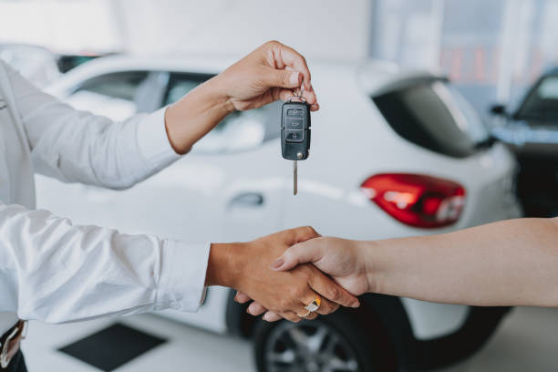 Car Dealers in Tauranga: What to Know Before Buying Your Next Vehicle